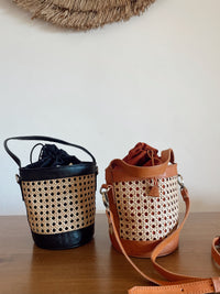 Mini Sceau Bag